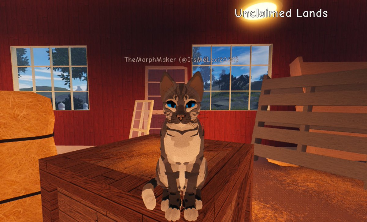 preyjump's tweet photo. #Warriorcats @wcrproblox https://t.co/X3E0mWKwgQ