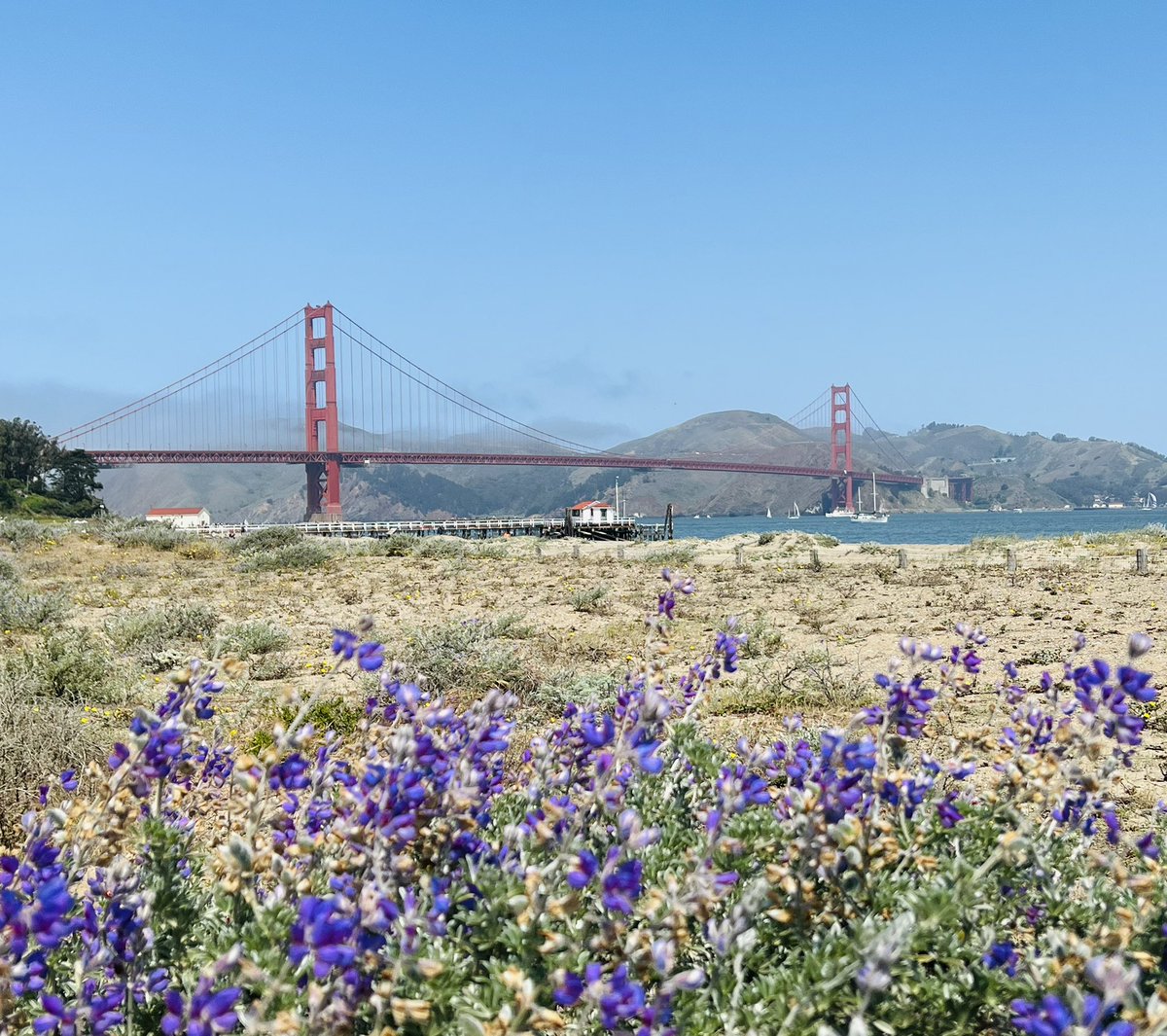 hknightsf's tweet photo. Never gets old…#TotalSF https://t.co/my1Gjcc3p6