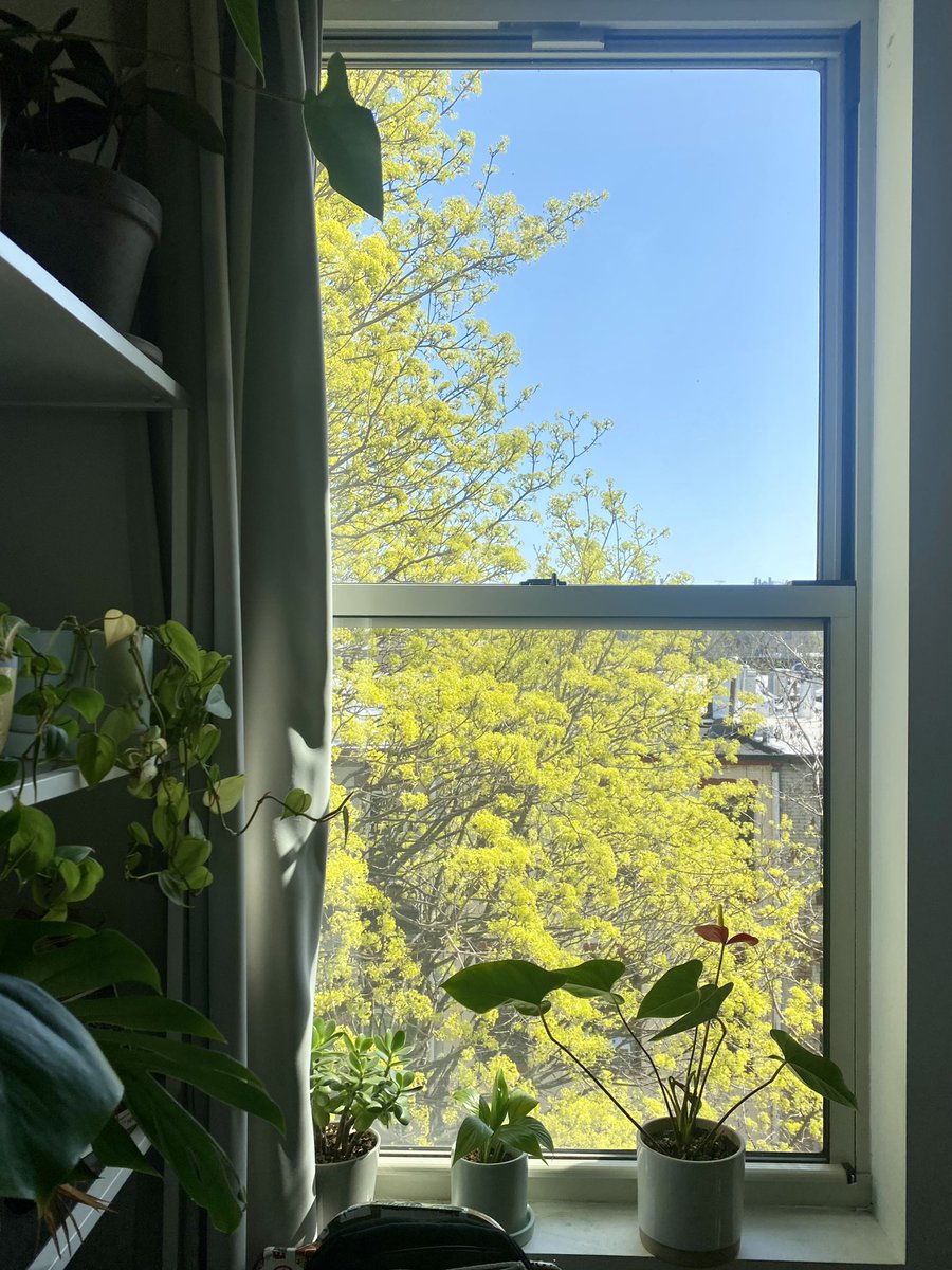 ashrauen's tweet photo. 🌱 https://t.co/zwS5MhWdQw