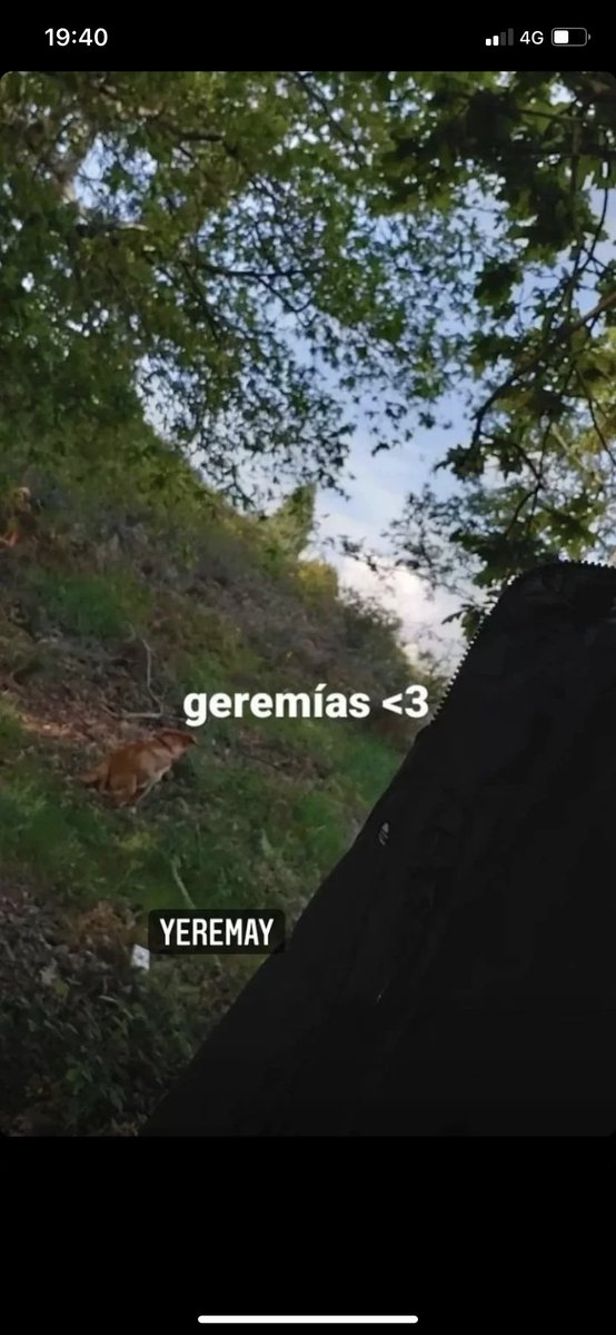 Le vamos a dar más bombo a una subnormal que a Jeremías