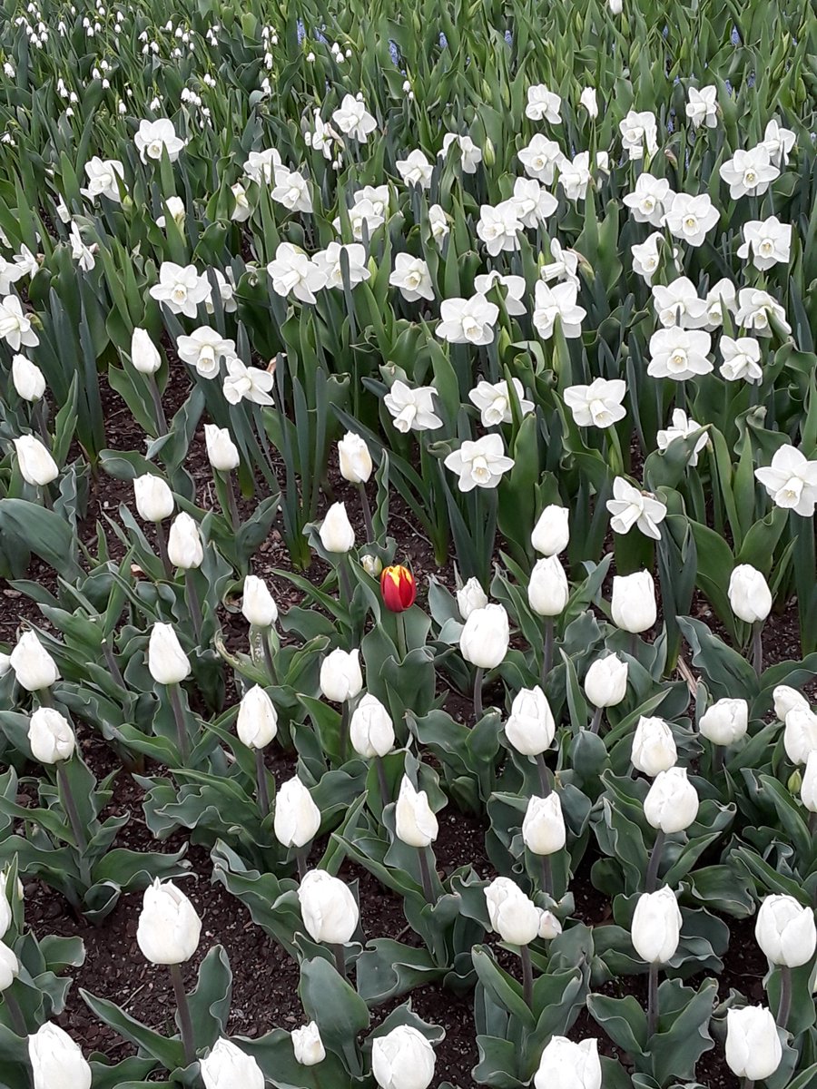 Dare to be different..