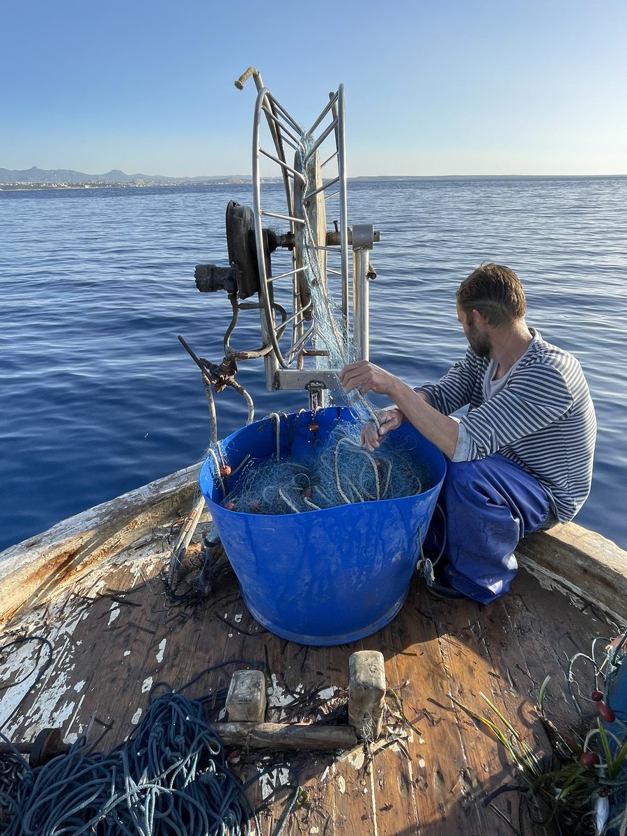 GiuliaLuerti's tweet photo. Started working on my MSc research project on #dolphins net #depredation behavior in Cyprus with @spot_turtles @ExeterMarine @MarineVertsMSc 🌊💙🐬 nothing beats a sunrise from a fishing boat https://t.co/uhj9hya1sP