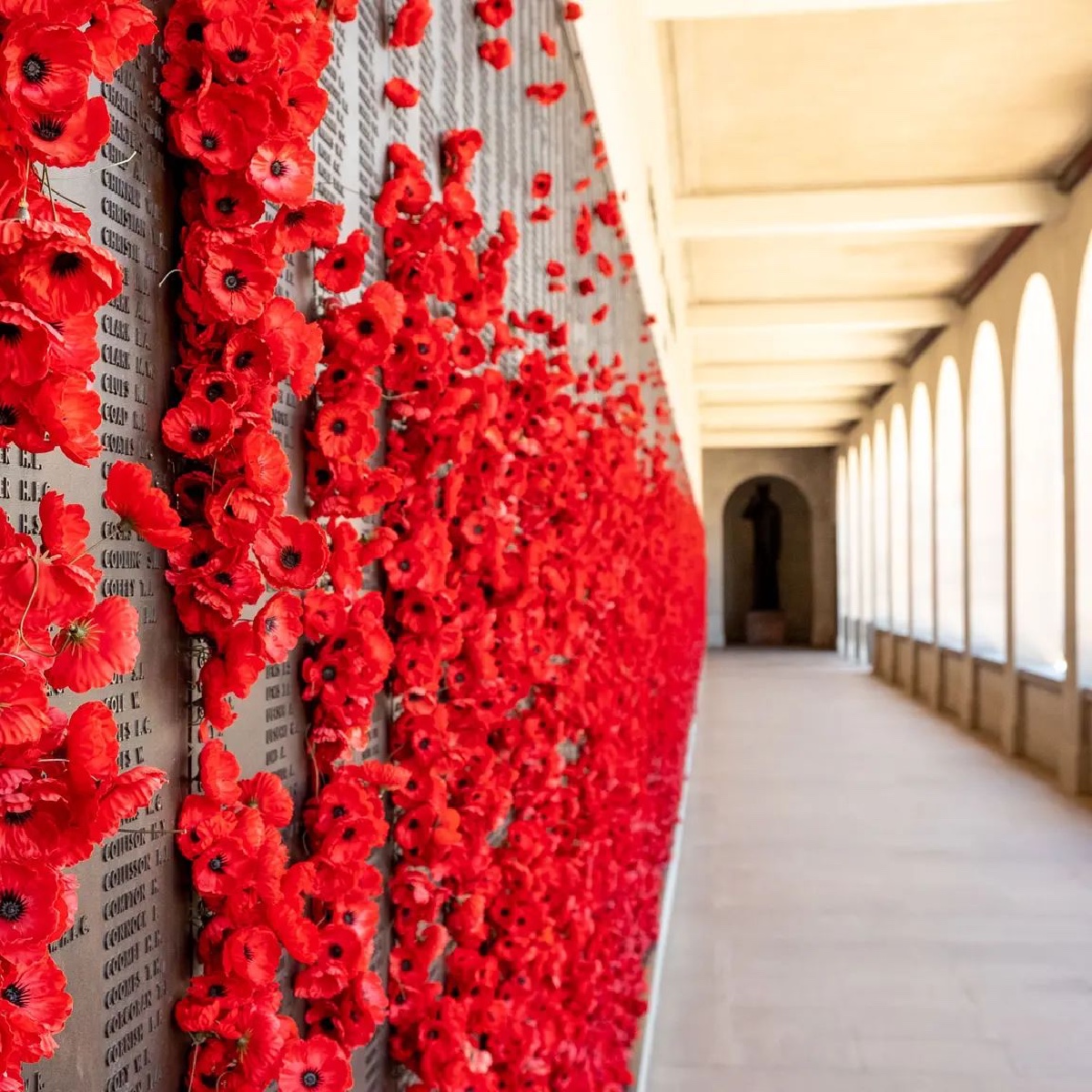 Lest we forget ❤️ Today, #AnzacDay services are being held at dawn to commemorate the brave Australians and New Zealanders who served and died in war and service to their country. If you're ever in #Australia on April 25, it's worth the early start to take part in a dawn service.