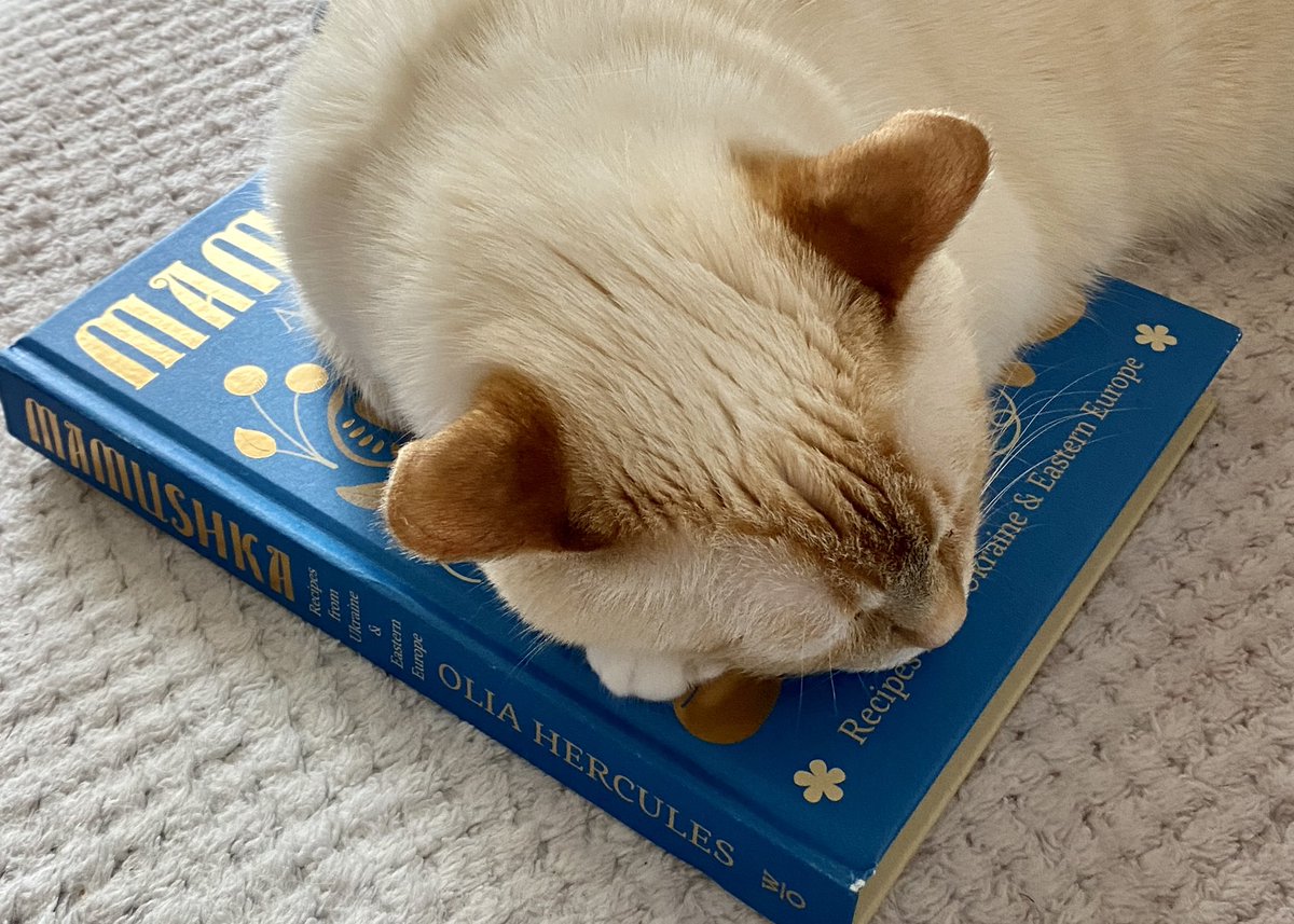 HilTurn's tweet photo. Rose loves the #Mamushka #Cookbook! ๐๐
#CatsOfTwitter #UkrainianCooking #UkrainianRecipes @Olia_Hercules https://t.co/vZdcctiprQ