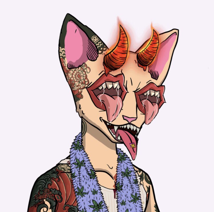 kikoobak's tweet photo. @SolanaHotCoffin @DeadCets eyes 👀 @DeadCets https://t.co/RNRLbo4te1