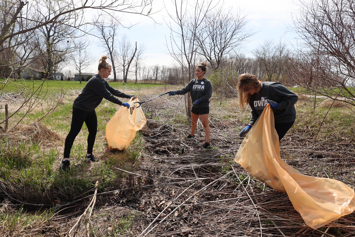 Iowa Gymnastics tweet media