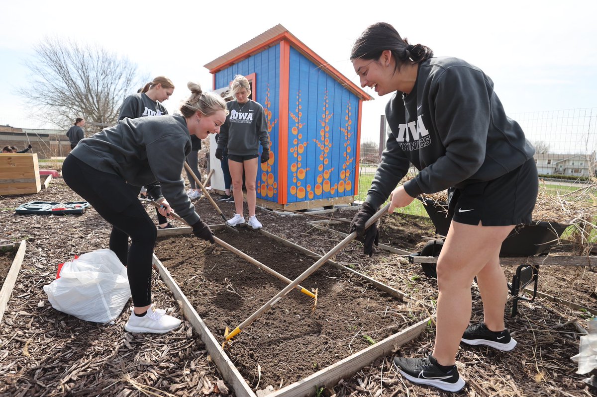 Iowa Gymnastics tweet media