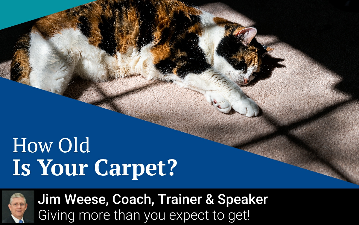 JVWeese's tweet photo. When replacing floors, choose neutral colors and opt for non-carpeted surfaces. Wood laminate flooring may be an affordable option that you can learn how to install yourself as well. https://t.co/kRPekwrzS6