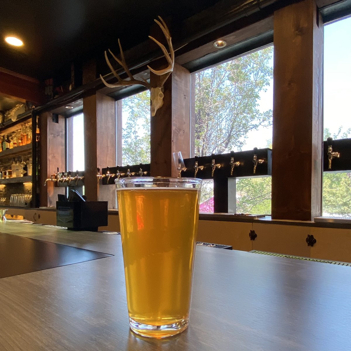 HuntsmanBrewing's tweet photo. Funday Sunday is happening NOW at Huntsman Brewing. It’s a beautiful day for Huntsman Beer either inside or upstairs on the patio! Come on down and squeeze the last bit of fun from the weekend before the Sunday Scaries creep in. #beerisboss https://t.co/F7eNSL8TjL