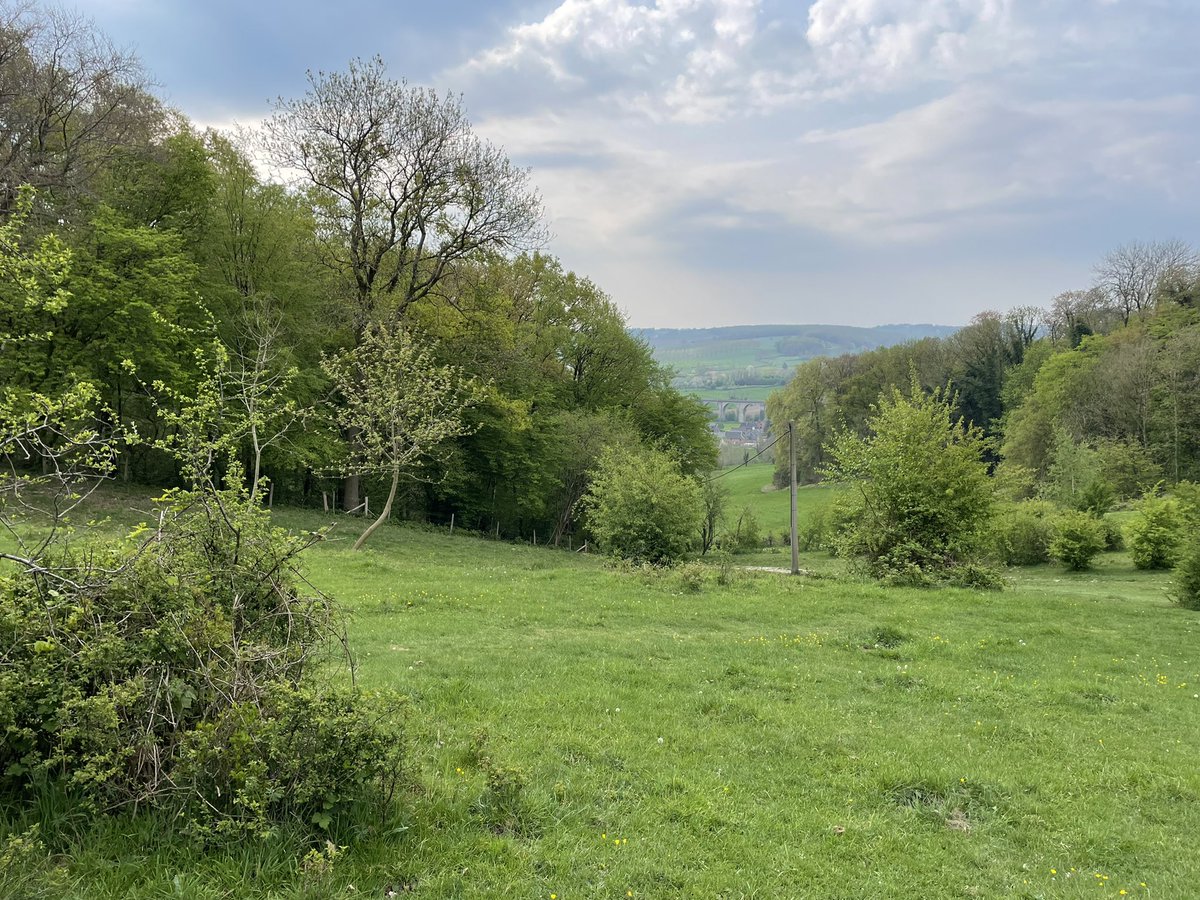 barryvboekel's tweet photo. Wie sjoen Zuid-Limburg is.

#magnifiekzuidlimburg
#zuidlimburg
#wandelverenigingvilt
#bloesem
#wandelen 
#hiking
#heuvellandschap https://t.co/vcQSlIA7bH