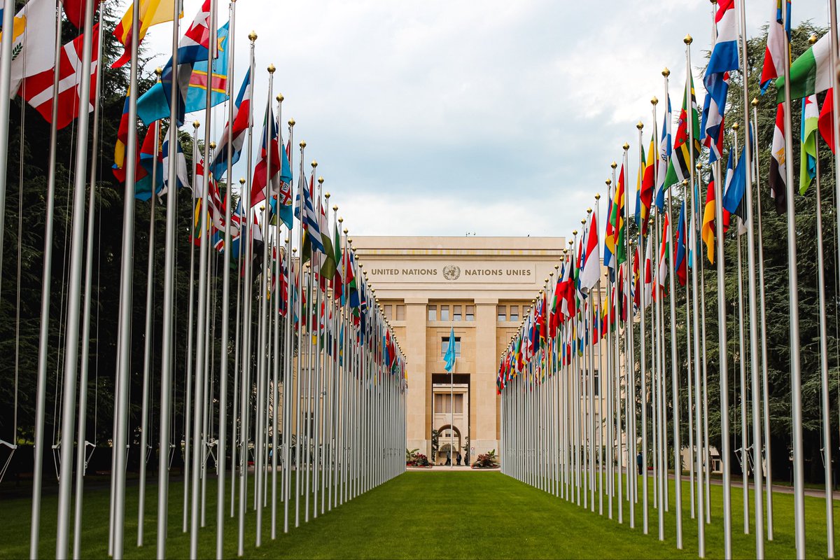 ⏺ NEW Op-Ed: 

International Relations Theory adds spice to dinnertime | By Lucas Casas

▶️ Photo by Mathias Reding 

➡️ LINK tinyurl.com/3jt7w7ba