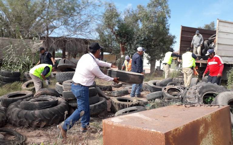 Llama Salud a eliminar criaderos de moscos para que Colima continúe sin Paludismo 

elcentinela.mx/llama-salud-a-…