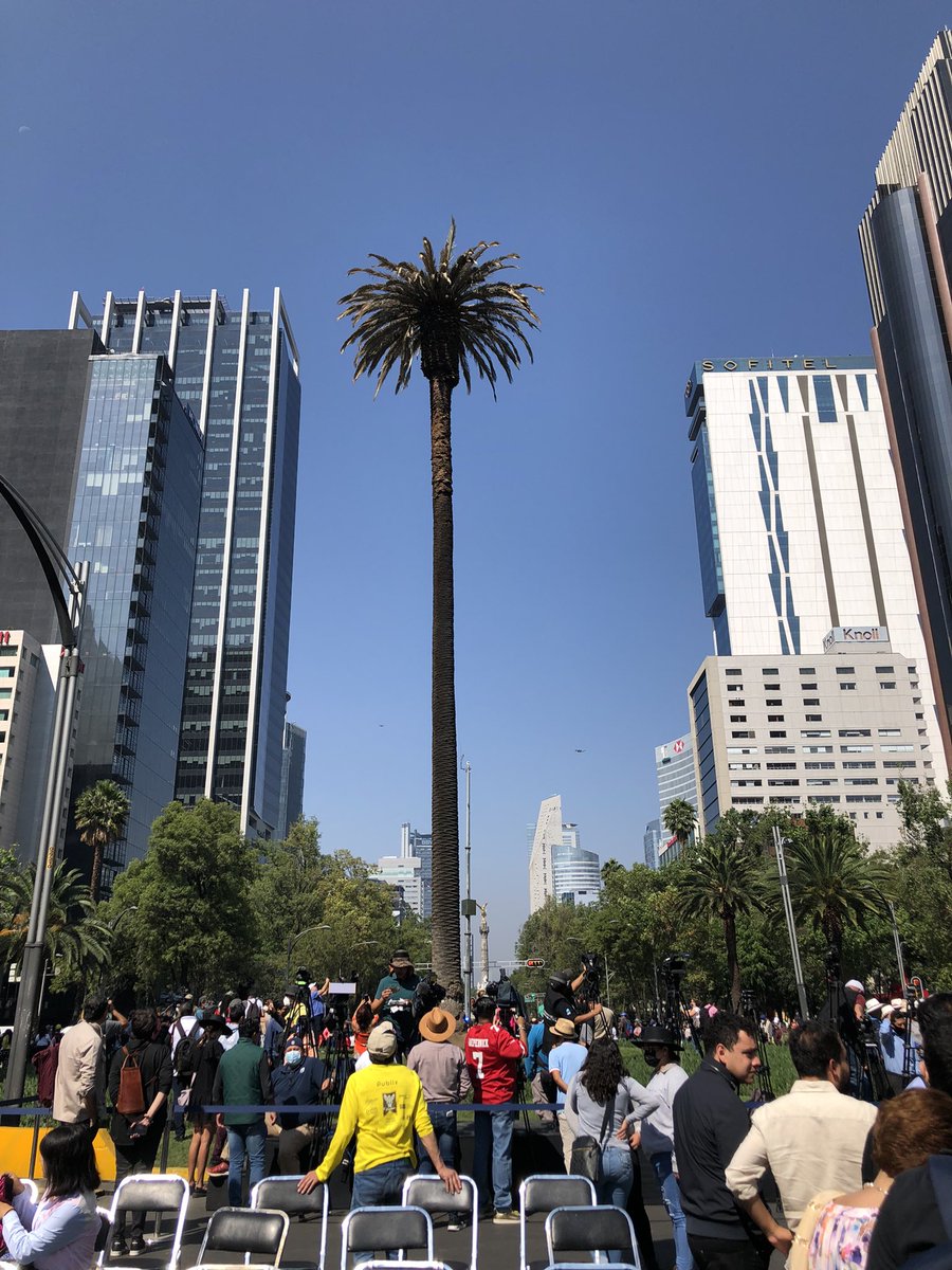 rthur013's tweet photo. Le hacen ceremonia a UNA sola palmera, pero les vale Madre millones de Árboles en la selva

MÉXICO MÁGICO 💫 🇲🇽 https://t.co/oYyoDcoKc1