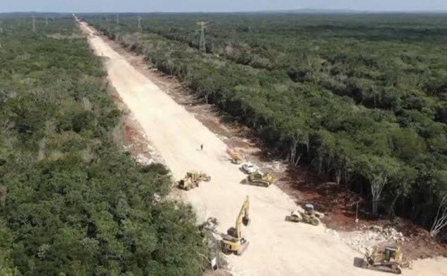 Le hacen ceremonia a UNA sola palmera, pero les vale Madre millones de Árboles en la selva

MÉXICO MÁGICO 💫 🇲🇽