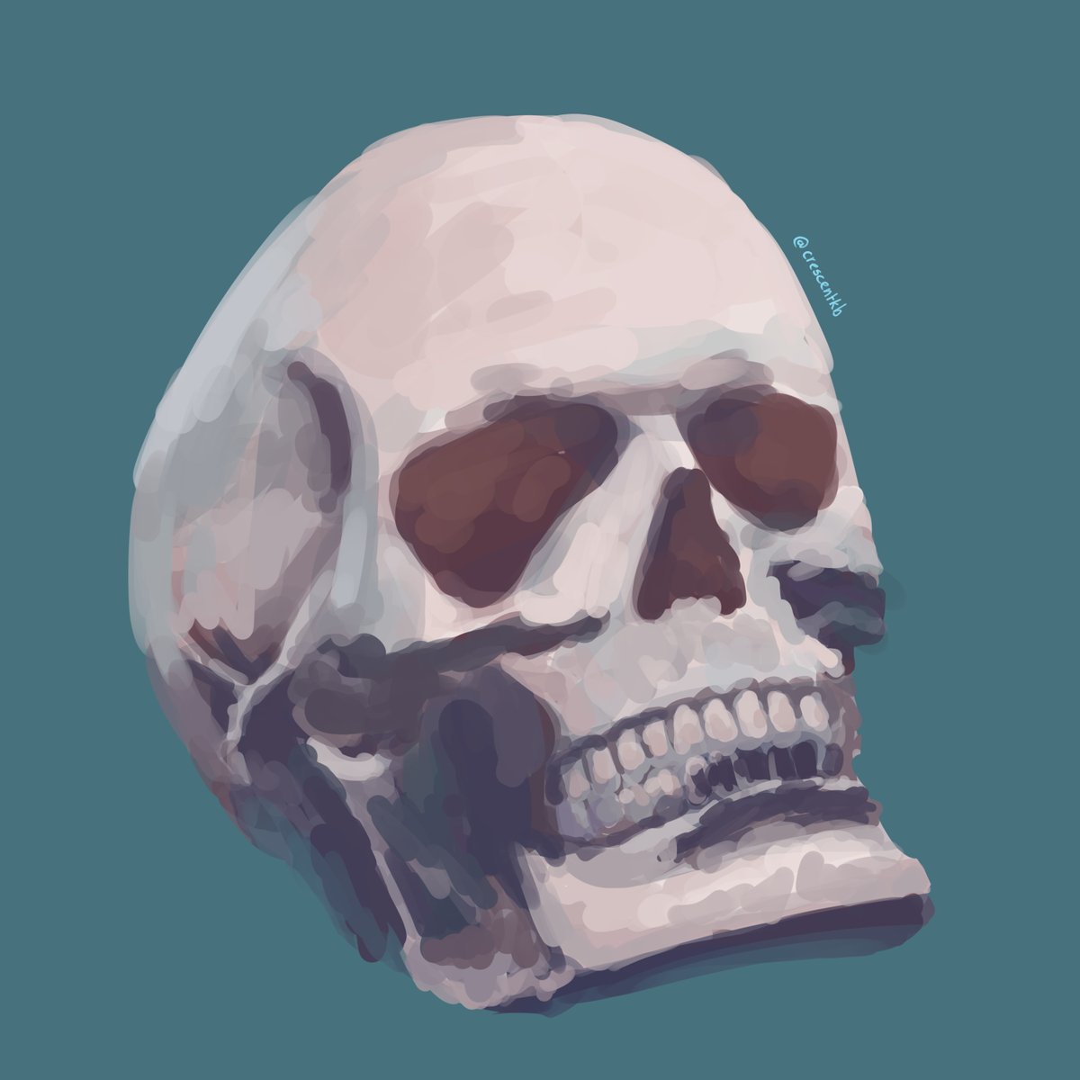 CrescentKB's tweet photo. day 17 - 30 mins painting study

decided to only use a default brush. https://t.co/Hj48y1TdTh