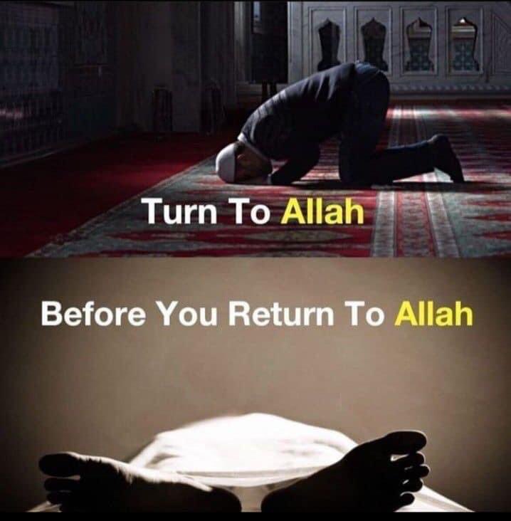 Put your trust in Allah . . .

#subhanallah
#Alhamdulillah
#Allahuakbar
#islam
#muslim 
#salah 
#quran
#Ramadan
#ameen