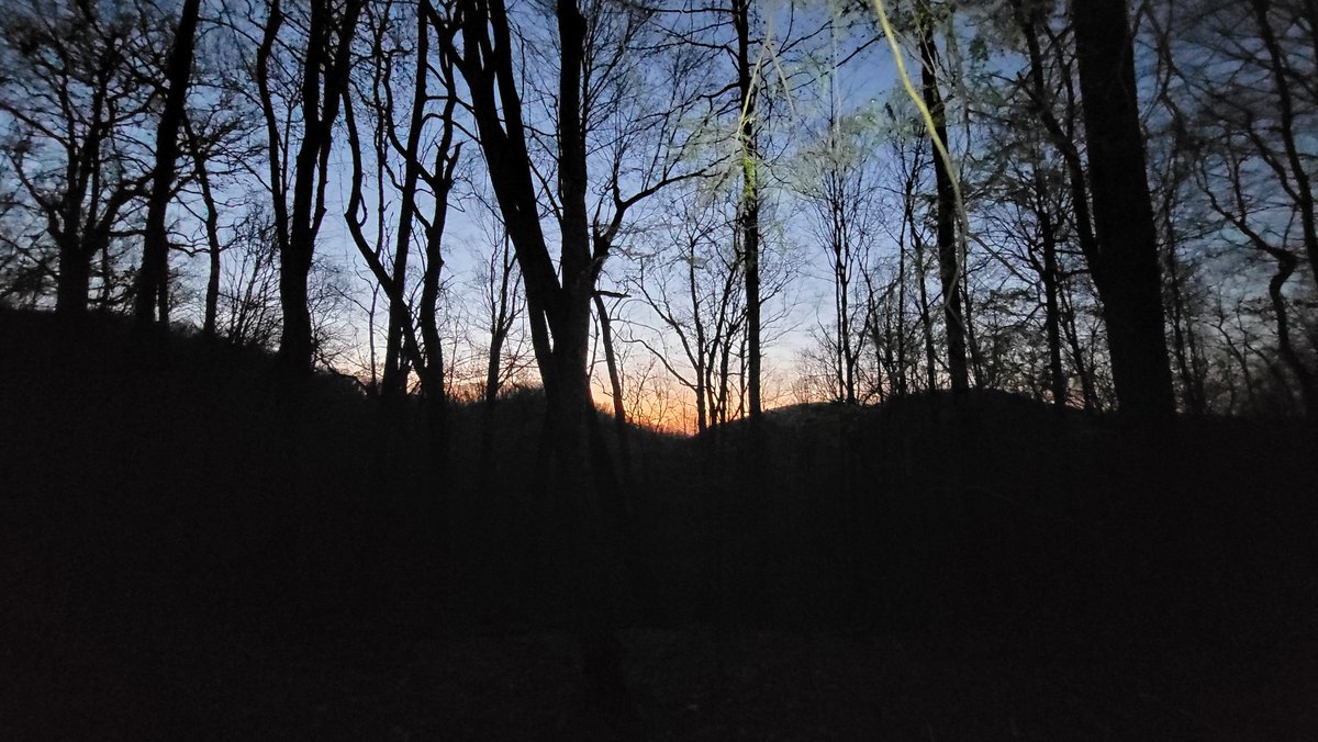 Peter Hodge tweet media