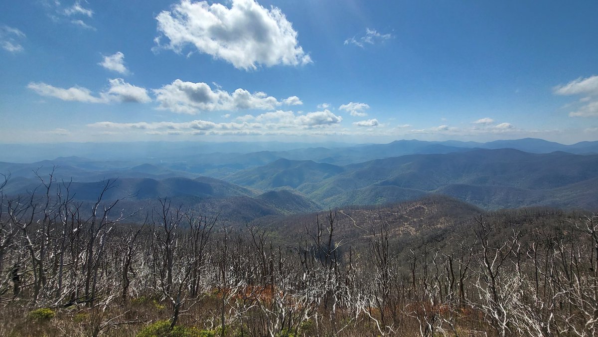 Peter Hodge tweet media