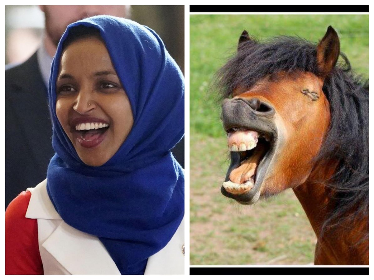LiquidHamas's tweet photo. @BASTARDDDDD @IlhanMN @RashidaTlaib @KenRoth @hrw @amnesty @lsarsour Gosh, there's a trio of antisemitic filth suited to one another. And two of them were disgracefully allowed to be elected to a USA high office. If Jews said about Muslims what Headbag and Bingo say about Jews, there would be a public outcry (and a Fatwah or Nakba or whatever) https://t.co/aGSSe94mzP