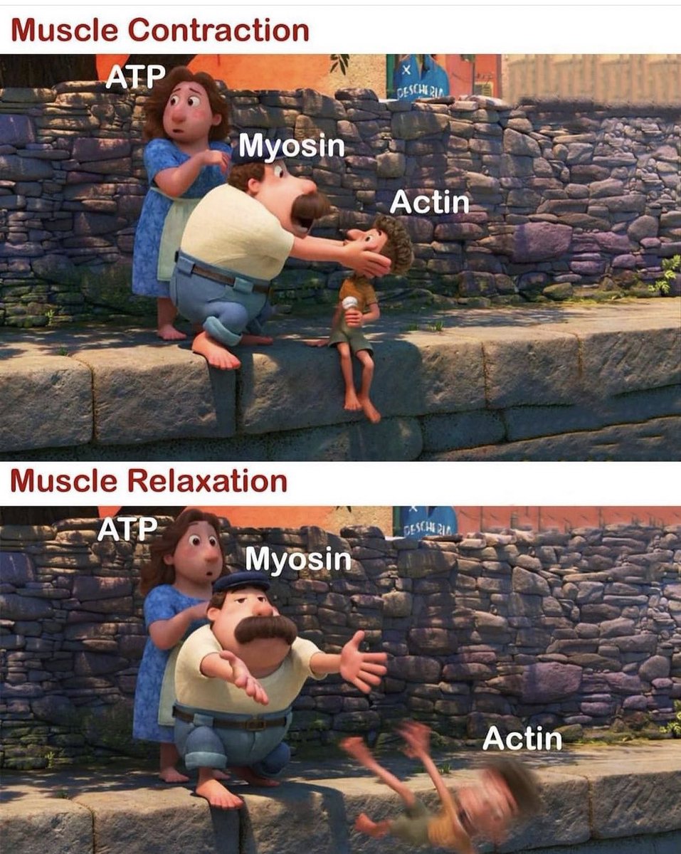 مين الدافور/ة الي فهمها؟ 😍😂