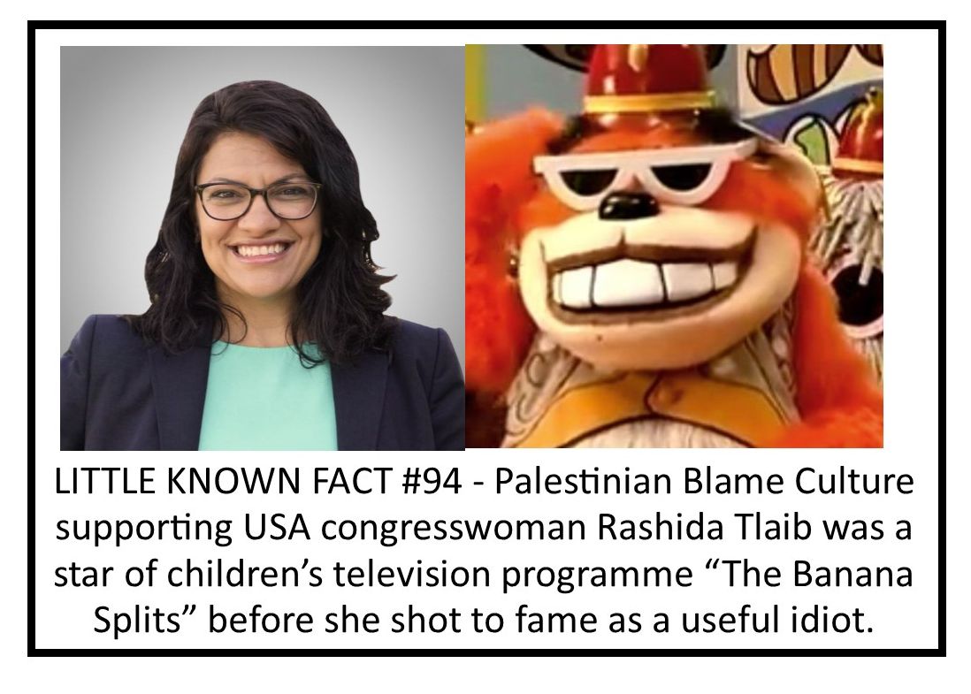 LiquidHamas's tweet photo. @BASTARDDDDD @IlhanMN @RashidaTlaib @KenRoth @hrw @amnesty @lsarsour Gosh, there's a trio of antisemitic filth suited to one another. And two of them were disgracefully allowed to be elected to a USA high office. If Jews said about Muslims what Headbag and Bingo say about Jews, there would be a public outcry (and a Fatwah or Nakba or whatever) https://t.co/aGSSe94mzP