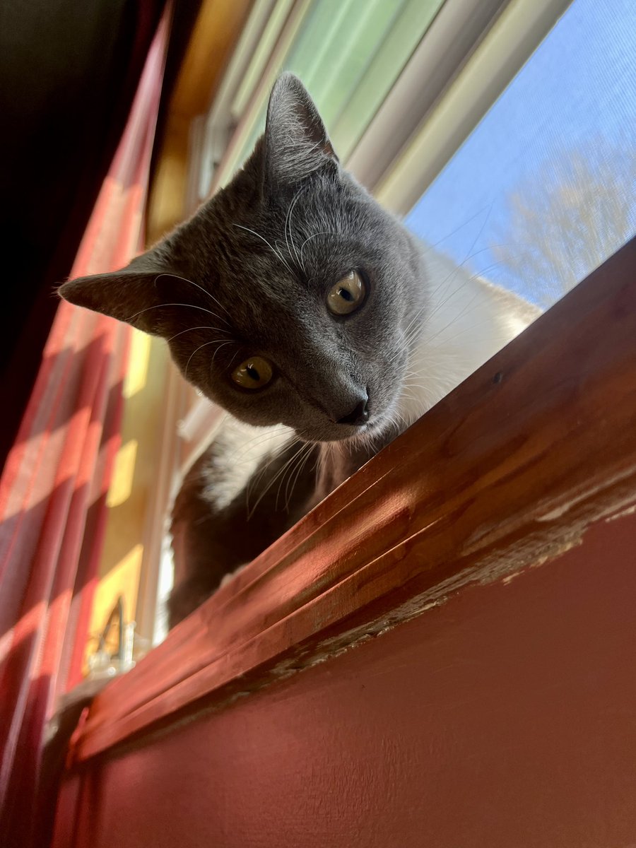 blackmaek's tweet photo. Beautiful day in NY! Happy Sunday 🥰🙏 https://t.co/Bb2pK9QkZj