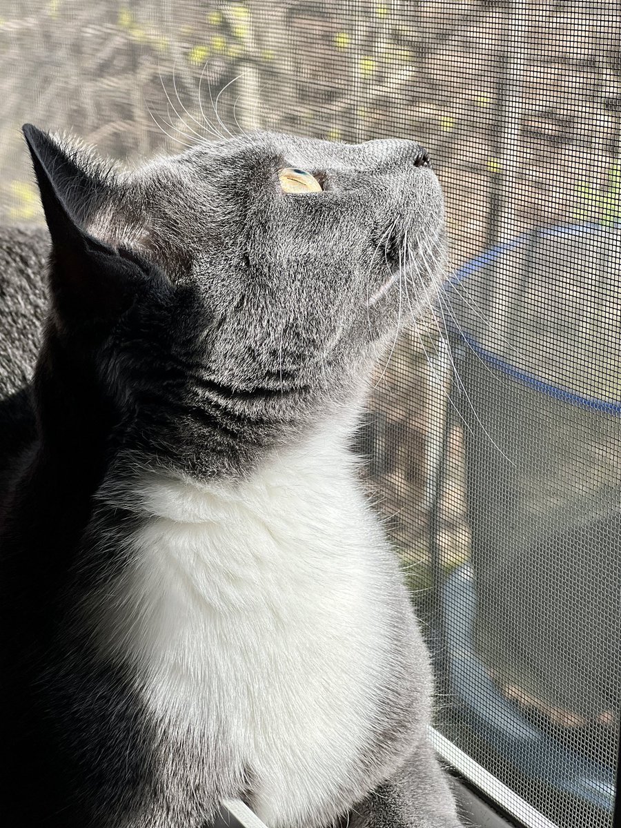 blackmaek's tweet photo. Beautiful day in NY! Happy Sunday 🥰🙏 https://t.co/Bb2pK9QkZj