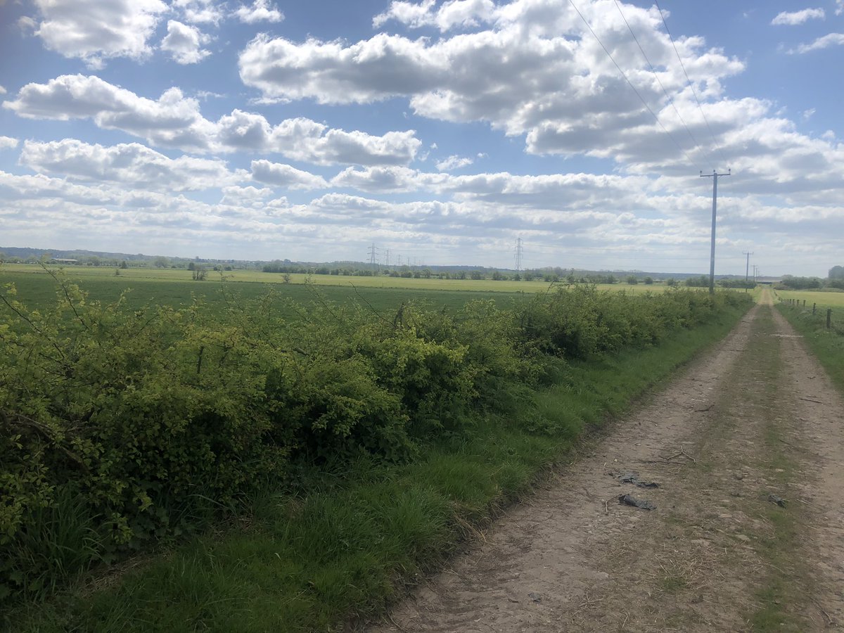 In January we got contractors in to do 600 metres of hedge laying down one of our farm tracks. Now, it’s starting to come to life 🌱 long term it should be a strong boundary and shelter for our stock, and a home for a variety of wildlife. #naturefriendlyfarming #hedgelaying