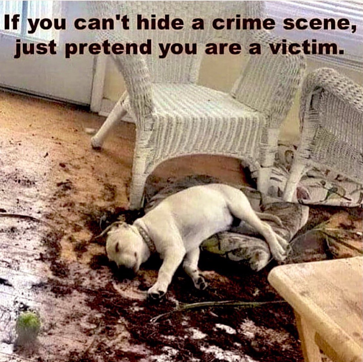 Great advice on a Sunday