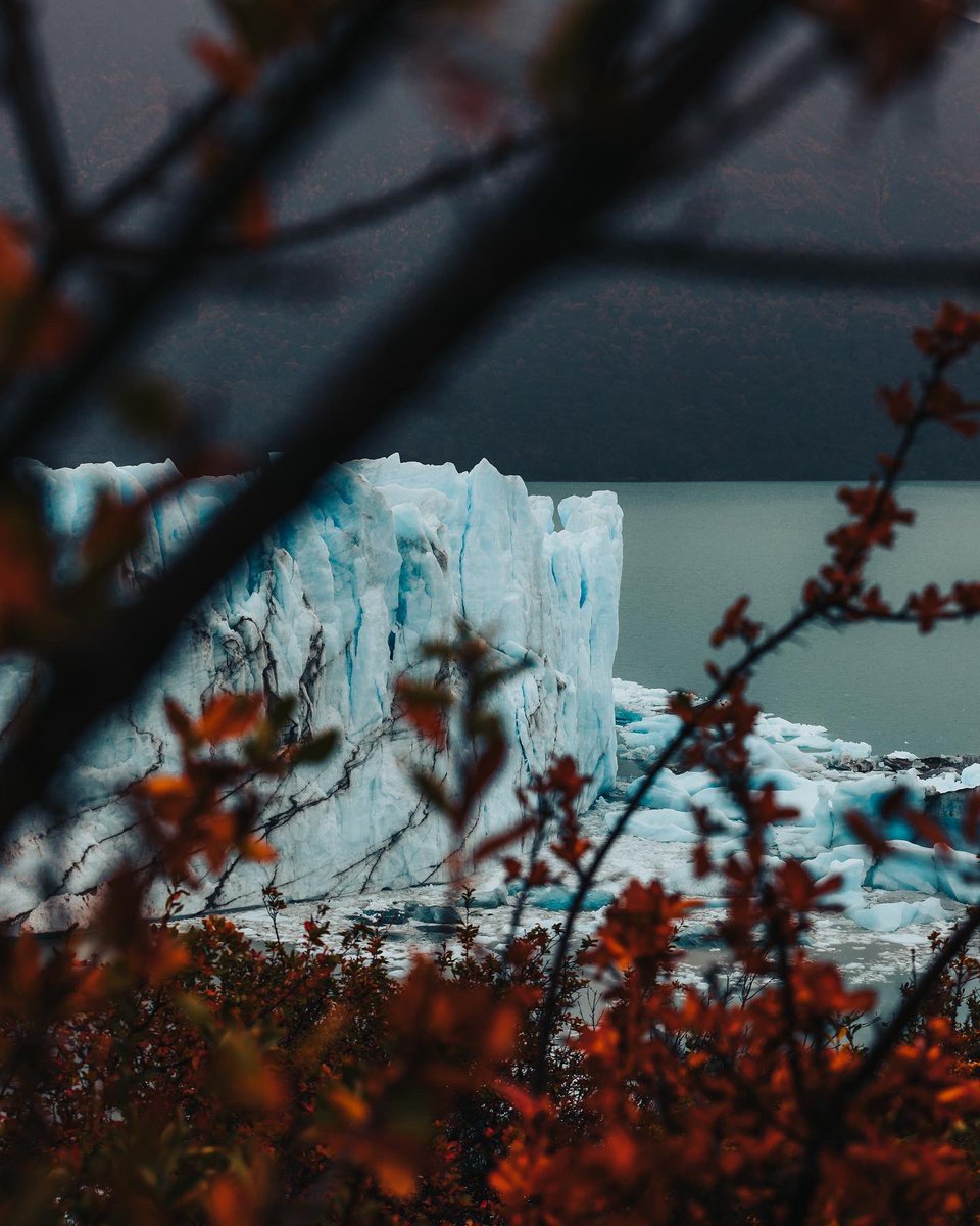 Perito Moreno en Otoño 🍁 #foto #nft #NFTCommunity #PlanetEarth