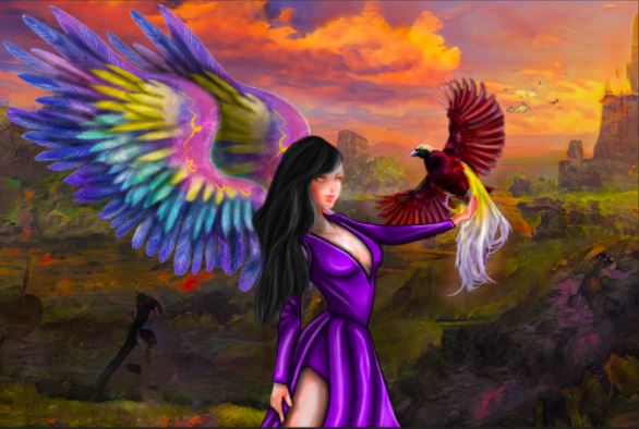 Oasis4Birds tweet media