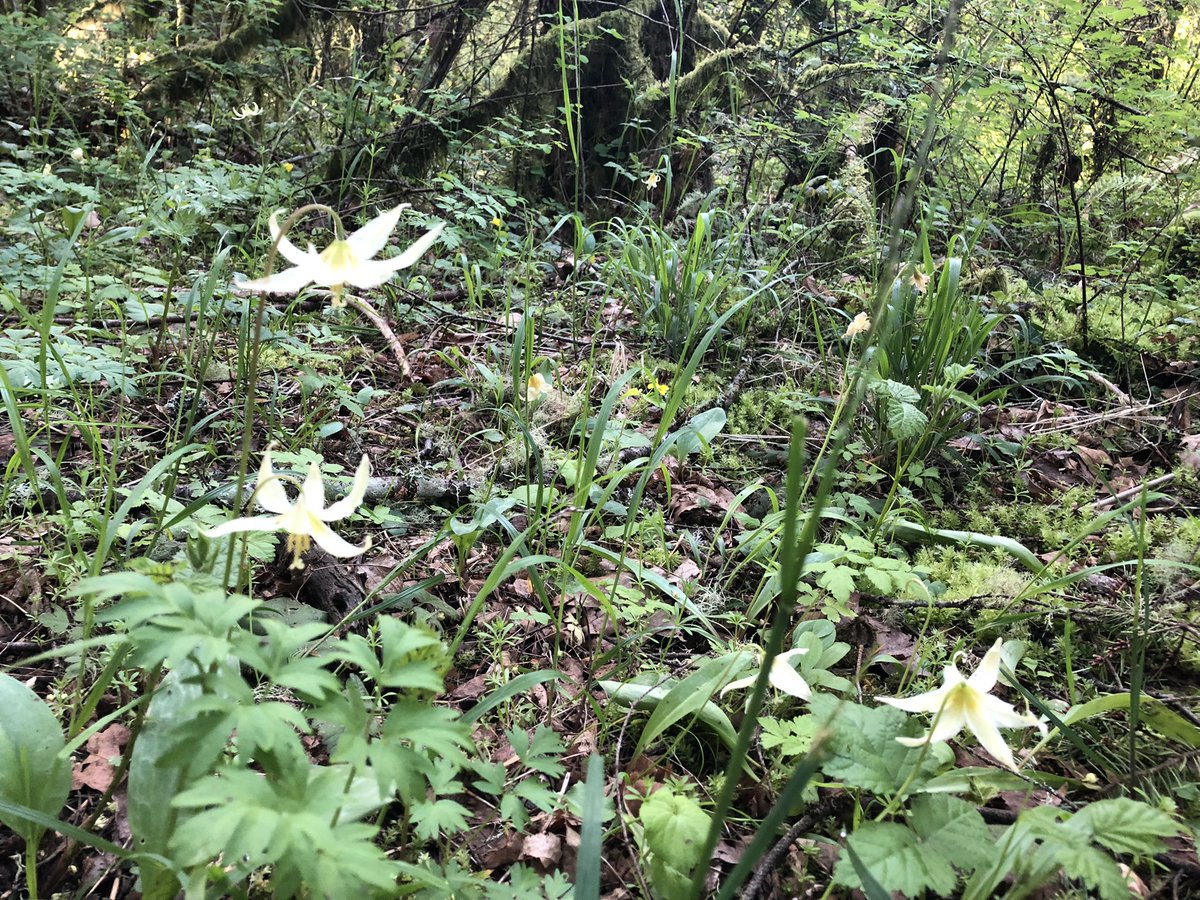 Brian Knaus tweet media