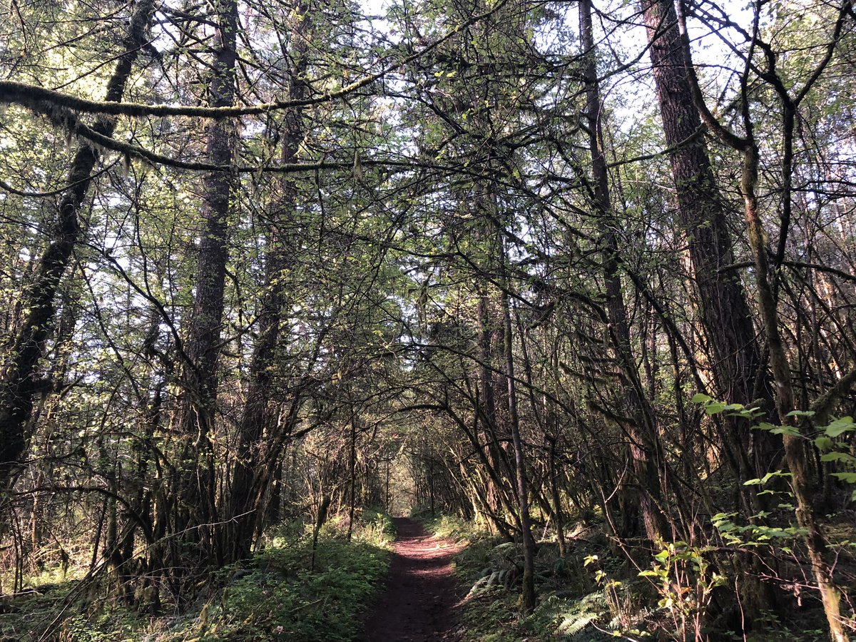 Brian Knaus tweet media