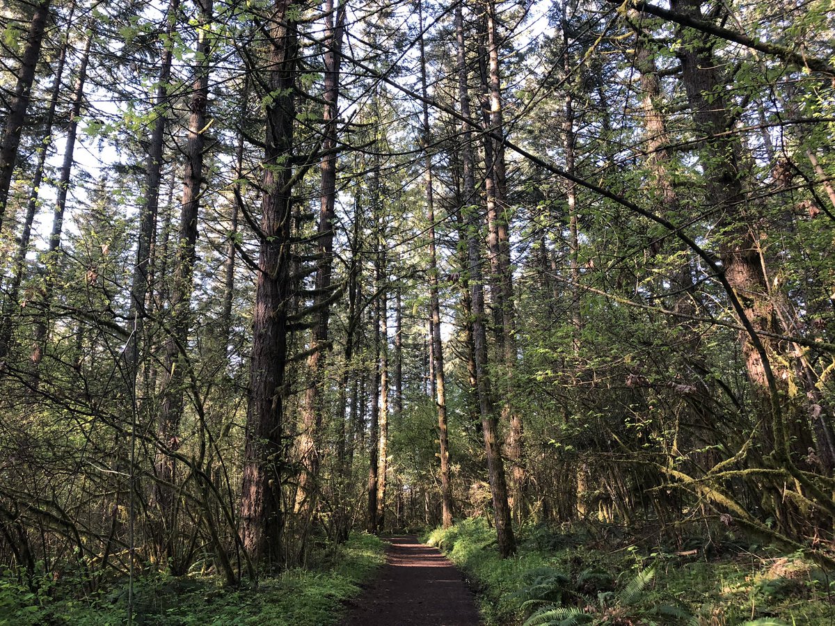 Brian Knaus tweet media