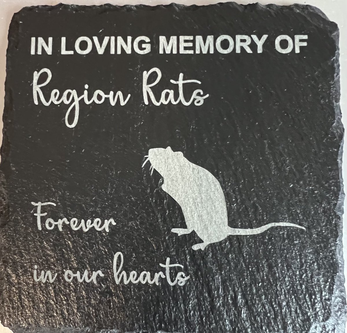 GaryMillrat's tweet photo. My slate garden square is here .. for all #RegionRats. TY North Ireland Etsy https://t.co/tgZlyHtFeF