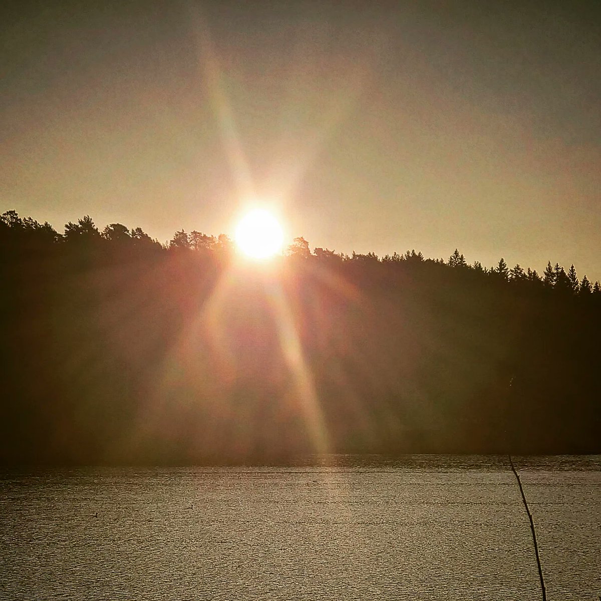michael_ulander's tweet photo. En annorlunda dag i löpningens tecken, från tidig morgon till sen kväll. Vaknade tidigt och var pacer på TEC100. Lärorikt, skoj och intressant. Rundade av dagen med en klassisk mellanmjölksrunda. 🐌☺️😴 #täbyextremechallenge #tec100 #support #löparglädje #löparvad https://t.co/znWhFkequG
