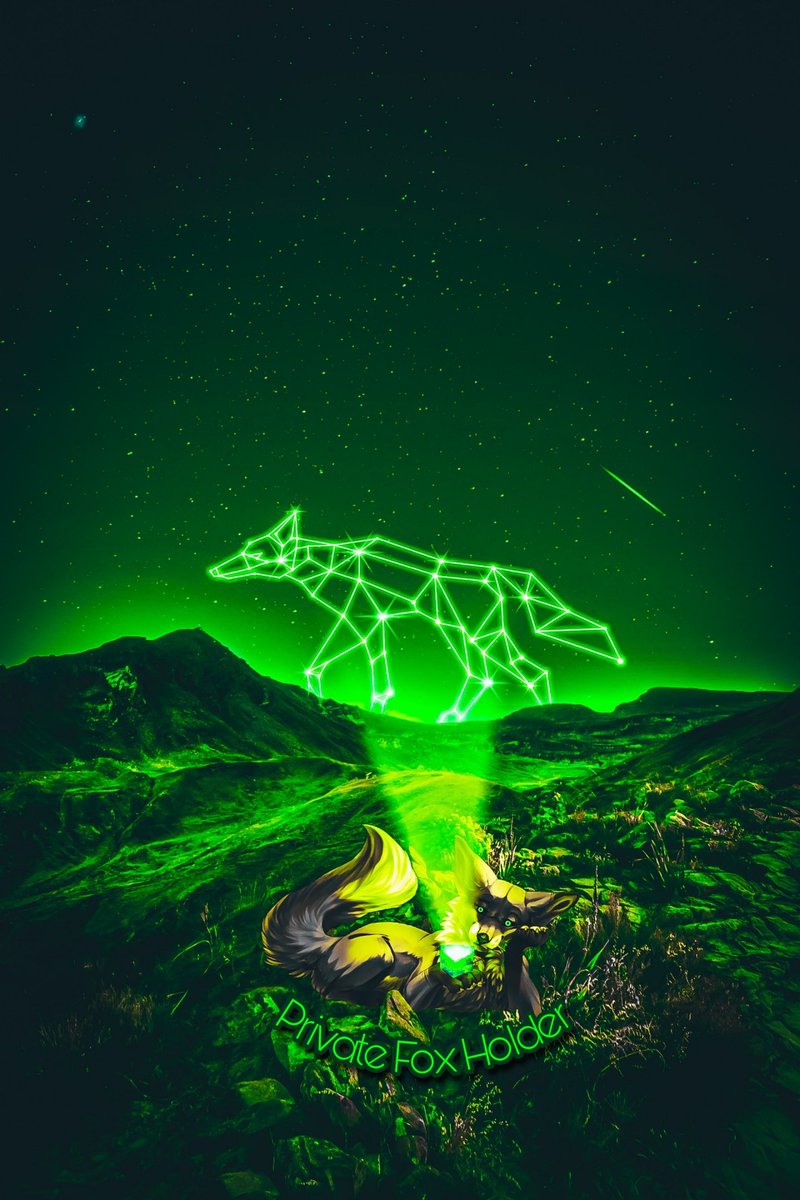 Private Fox Holders shooting for the stars 💫🦊 discord.gg/HqMqfhNssD 🔥