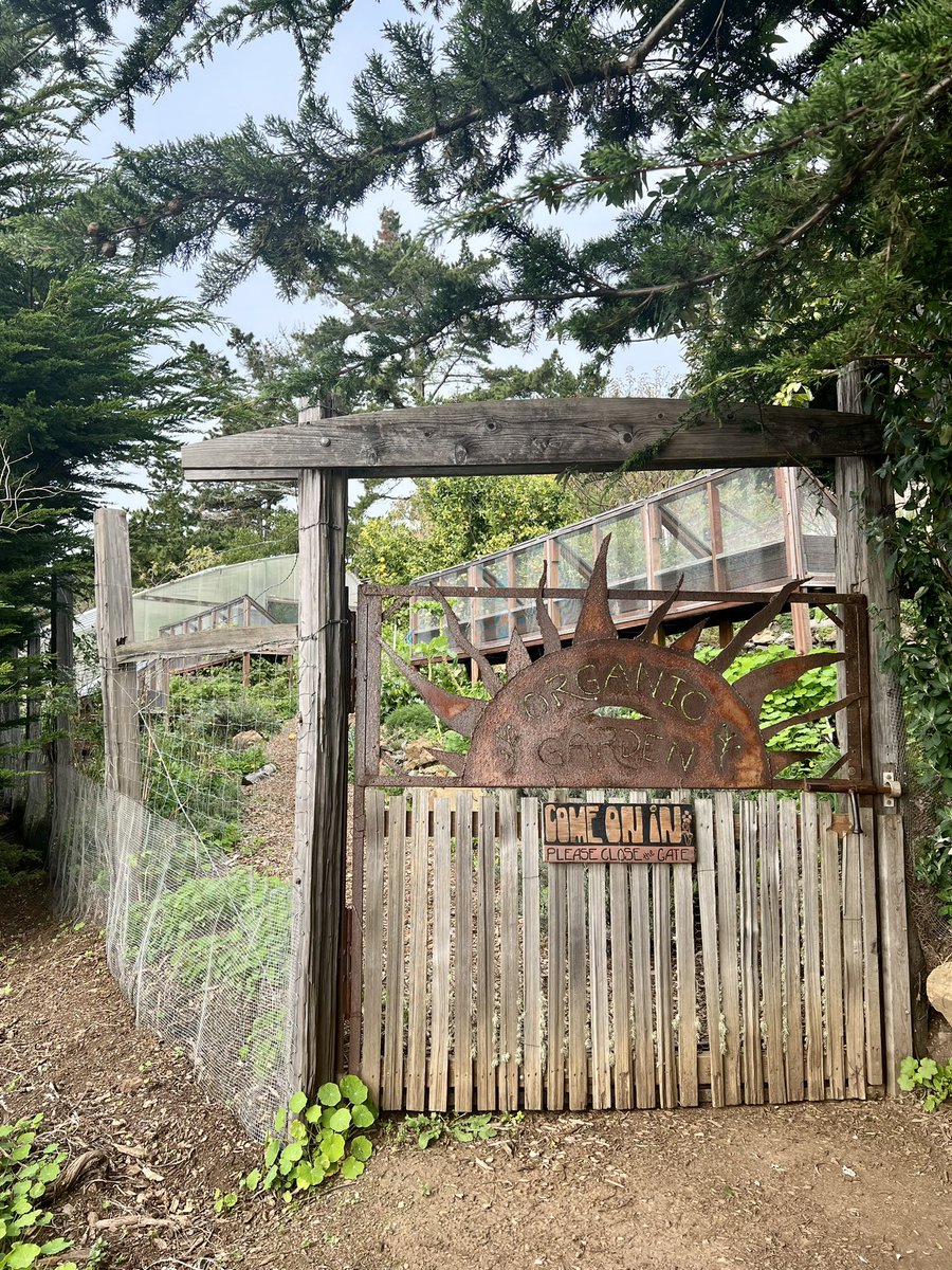AutonomousTent's tweet photo. As fresh as it gets… enjoy a stroll through the organic garden before sampling its goodness in the restaurant. #treebonesresort #bigsur #farmtotable #foodie #camping #gardening https://t.co/HZDrDTRdXF