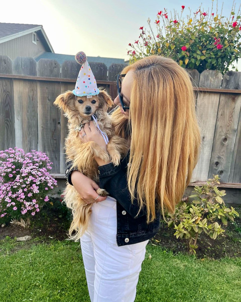 jeanettieher's tweet photo. 🥨 is now 6 🥹🥳 https://t.co/lvQ3IBYr1d