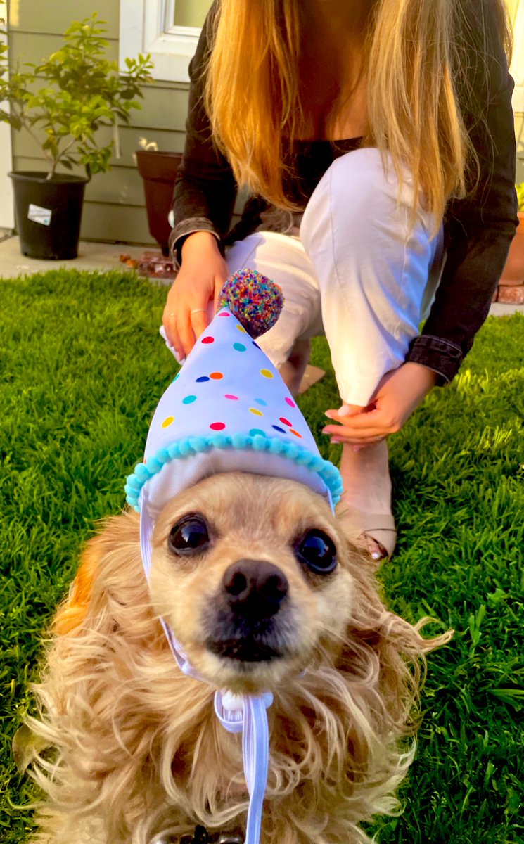 jeanettieher's tweet photo. 🥨 is now 6 🥹🥳 https://t.co/lvQ3IBYr1d