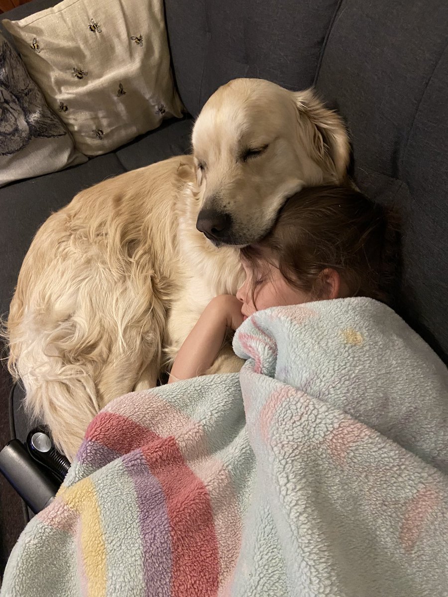 Where would we be without Buzz dog?! D day is creeping up #CancerIsATwat #DiagnosisDay  #EmotionalSupportDog #HeKnows