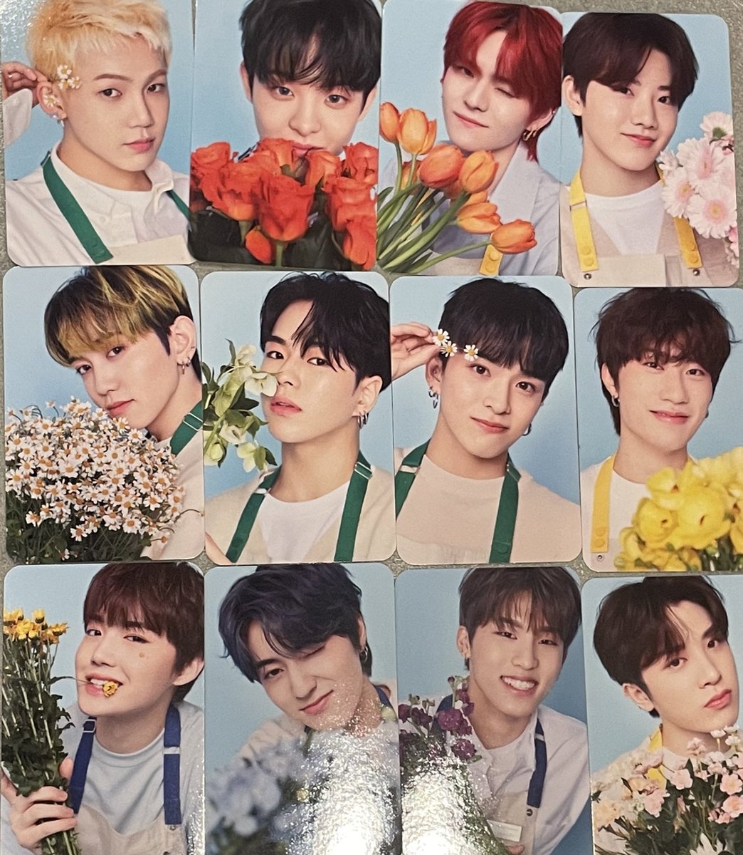 ꒰ เปิดหาร ꒱ 
[ BLOOMING ]TREASURE PHOTO CARD + TOP LOADER 
(รอบรีสต็อก ขอคนรอของได้นะคะ)​🙏🏻🙇🏻‍♀️

❤️A : โตะ ซาฮิ จุน จองอู โยชิ
💗B : ซอก จีฮุน แจ เยดัม มาชิ มุหวาน

✅A รับคู่ B เท่านั้น 150฿ รวมส่ง
❇️B แยกได้เมมละ 80฿ รวมส่ง
#ตลาดนัดtreasure #ตลาดนัดเด็กสมบัติ