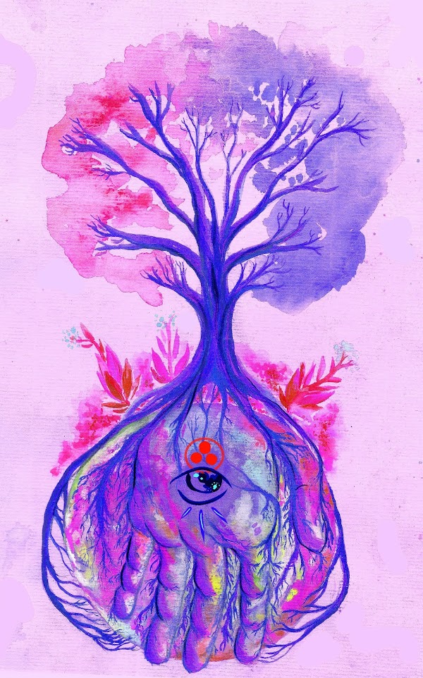 Enchanted Map tweet media