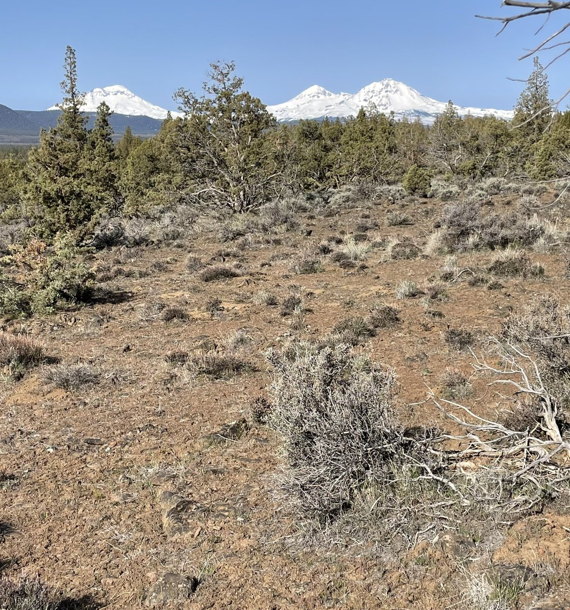 chrisbates24ft's tweet photo. Found this awesome place to build a house so I looked up the owner, someone named “USA” so I looked them up, turns out they’re in debt 30 TRILLION dollars. I’m sure they’d sell me a couple acres here to help pay it off! #nationaldebt #bendoregon #homeshortage https://t.co/klqQSM1CNL