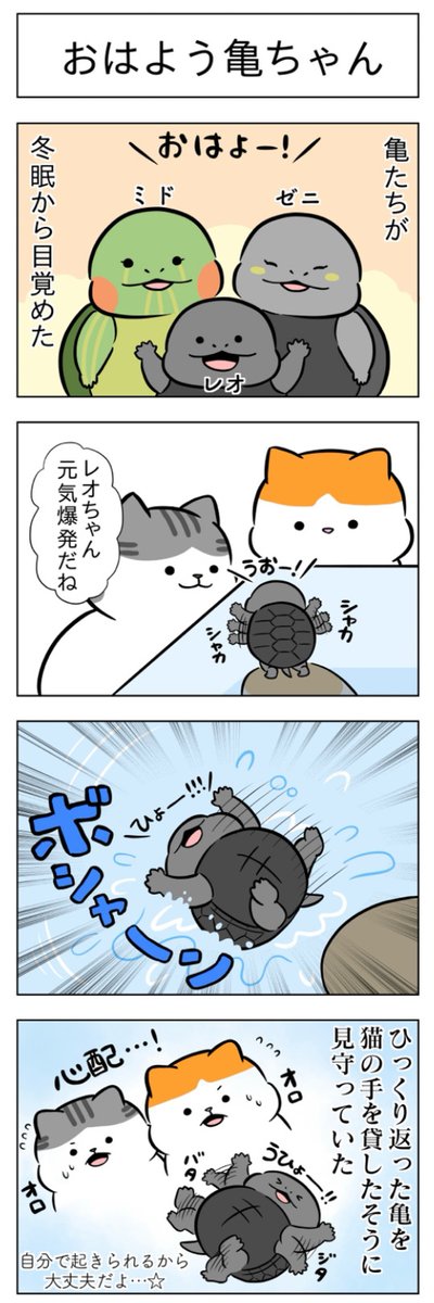 「おはよう亀ちゃん」
(はる蔵さんの「ふうらい日和」第46回)

2本目「みんなの窓際」はこちら⇒
https://t.co/N8gQXsZjt8 
