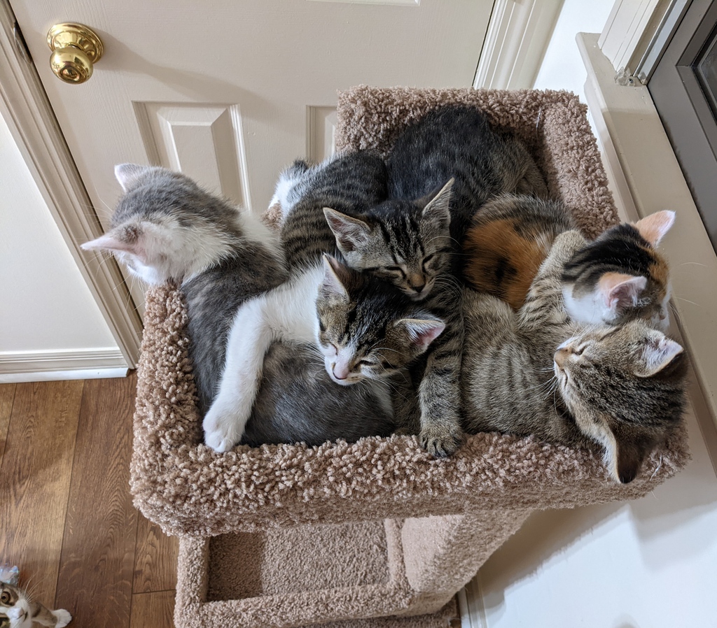 Good night innernets.