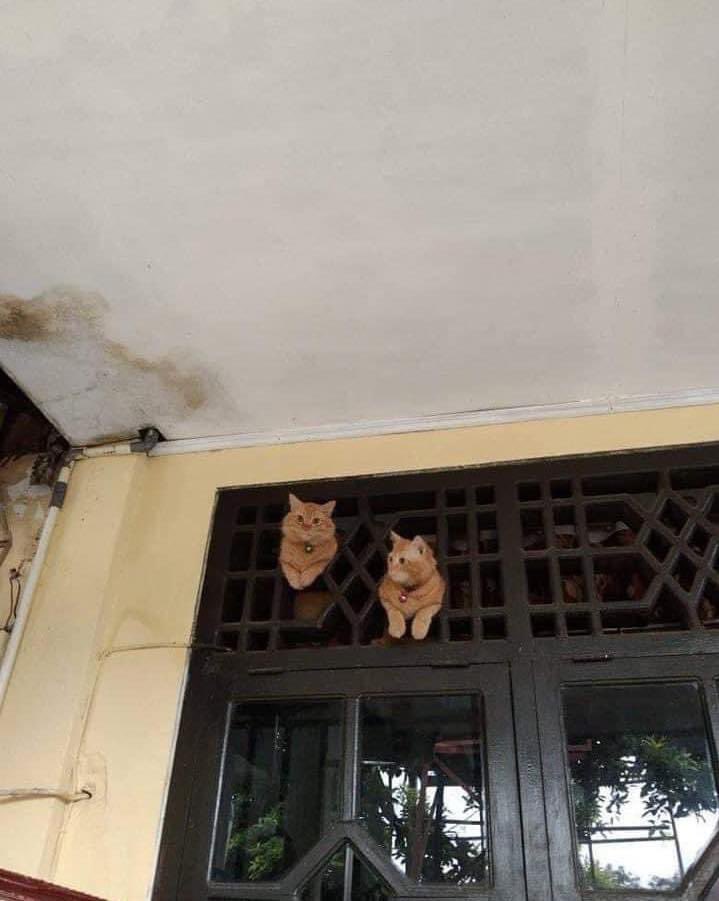 Me bila tahu barang shopee dah ‘out of delivery’