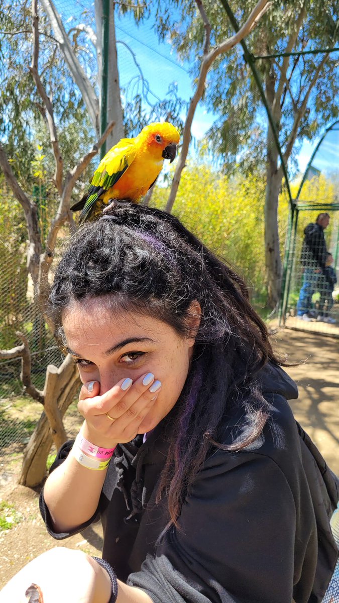 marialb1399's tweet photo. Ha pasado esto 🥺 https://t.co/IvSwEYb02U