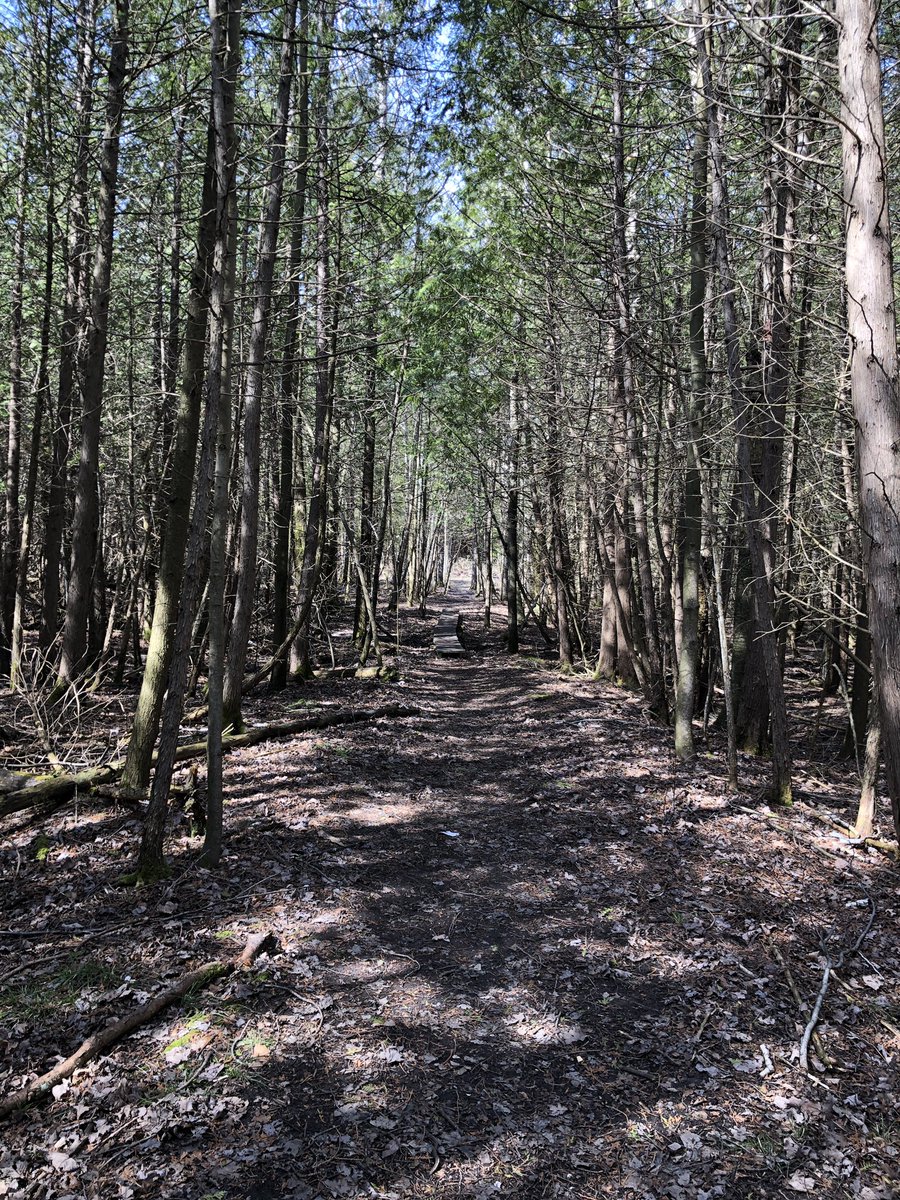 HJHelenKim's tweet photo. Took Finance interns out to @NCC_CNC ‘s Happy Valley Forest on a most gorgeous warm day. From Goldie Feldman Nature Reserve through Deeps Woods. In a month’s time I expect lot more green scenery. #stepintonature #time4nature #conservation #naturereserve https://t.co/GKKW4Ffnei