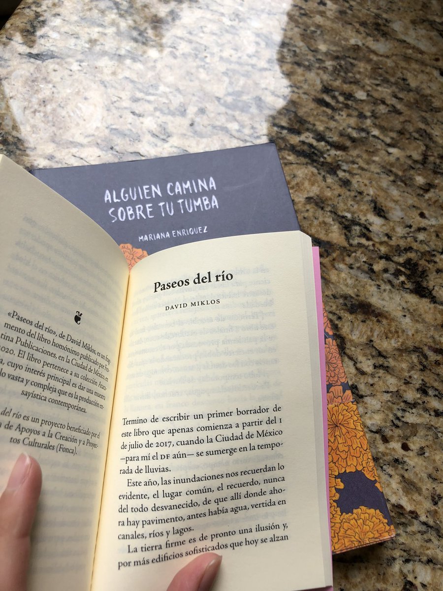 Venir en búsqueda de un libro de @LaEnriquez1973 y que Utópicas librería te regale un libro con cuento de <a href="/dmiklos/">Dani Miklos</a> mejora 1000% el domingo de bajón.
